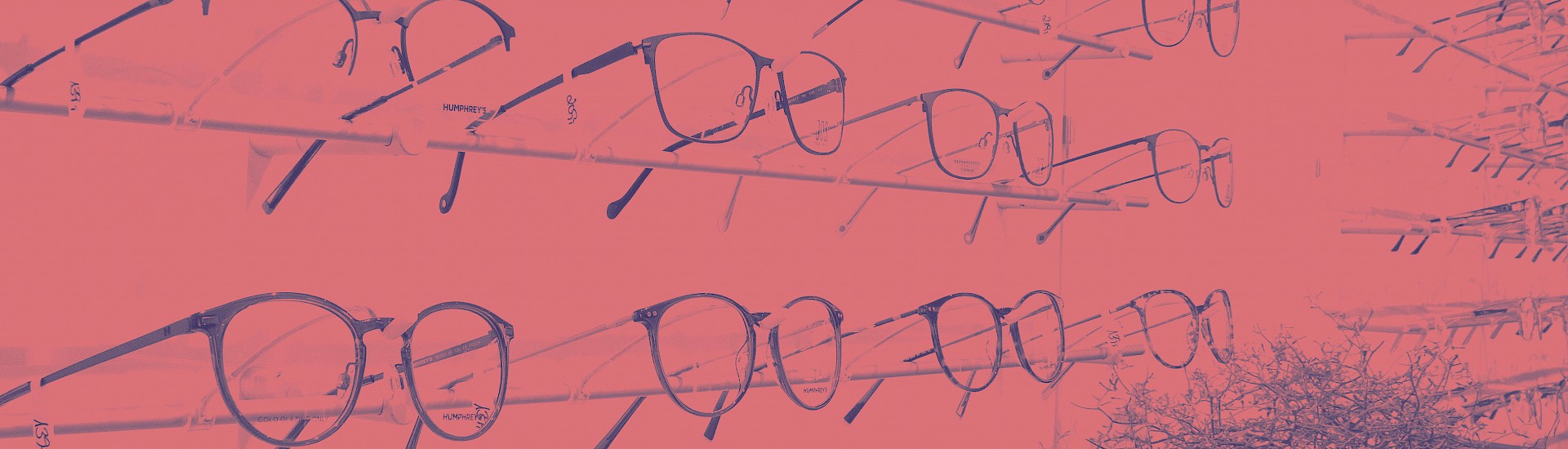 Augenoptik Meer Sehen
